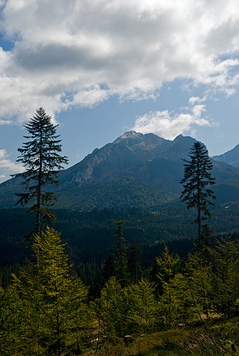 03_Tatry_widok z Wierch Poronca na Tatry Bielskie.jpg